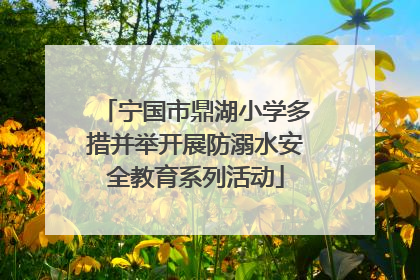 宁国市鼎湖小学多措并举开展防溺水安全教育系列活动