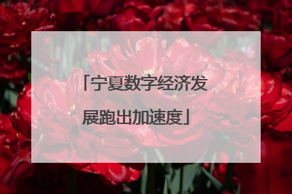 宁夏数字经济发展跑出加速度