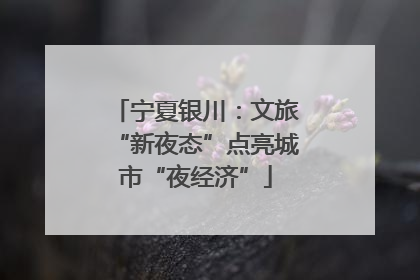 宁夏银川：文旅“新夜态”点亮城市“夜经济”