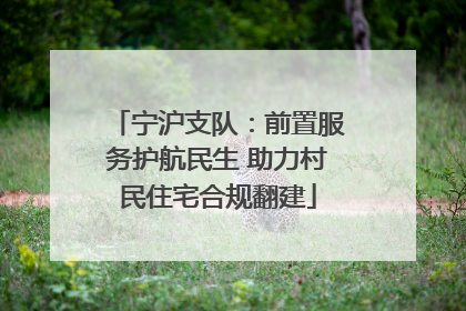 宁沪支队：前置服务护航民生 助力村民住宅合规翻建