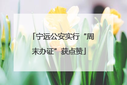 宁远公安实行“周末办证”获点赞