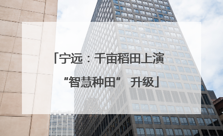 宁远：千亩稻田上演 “智慧种田” 升级
