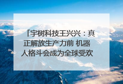 宇树科技王兴兴：真正解放生产力前 机器人格斗会成为全球受欢迎的赛事｜科技观察