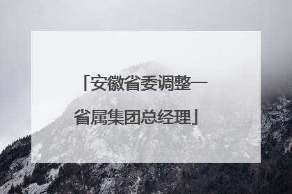 安徽省委调整一省属集团总经理