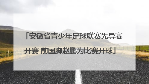 安徽省青少年足球联赛先导赛开赛 前国脚赵鹏为比赛开球