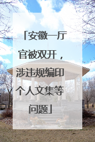 安徽一厅官被双开，涉违规编印个人文集等问题
