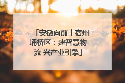 安徽向前丨宿州埇桥区：建智慧物流 兴产业引擎