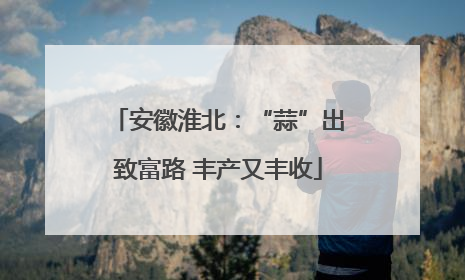 安徽淮北：“蒜”出致富路 丰产又丰收