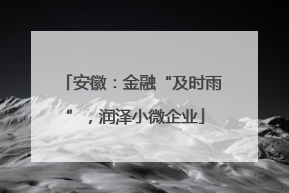安徽：金融“及时雨”，润泽小微企业