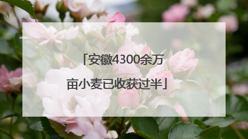 安徽4300余万亩小麦已收获过半
