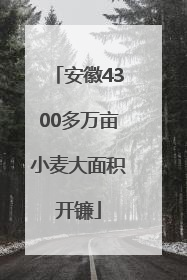 安徽4300多万亩小麦大面积开镰