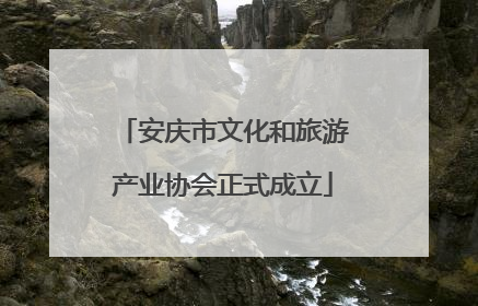 安庆市文化和旅游产业协会正式成立