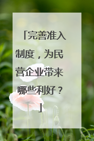 完善准入制度，为民营企业带来哪些利好？