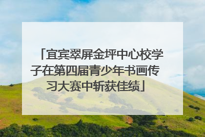 宜宾翠屏金坪中心校学子在第四届青少年书画传习大赛中斩获佳绩
