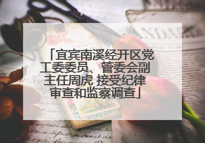 宜宾南溪经开区党工委委员、管委会副主任周虎 接受纪律审查和监察调查