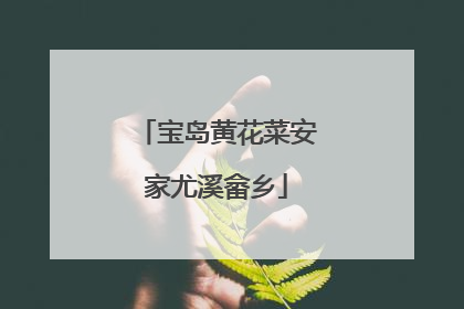 宝岛黄花菜安家尤溪畲乡