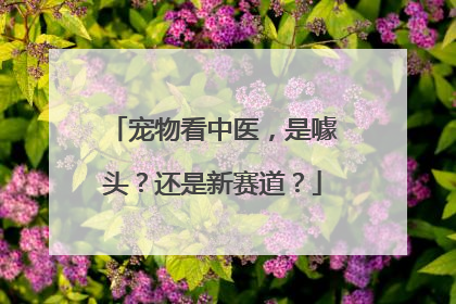 宠物看中医，是噱头？还是新赛道？