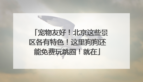 宠物友好！北京这些景区各有特色！这里狗狗还能免费玩跳圈！就在