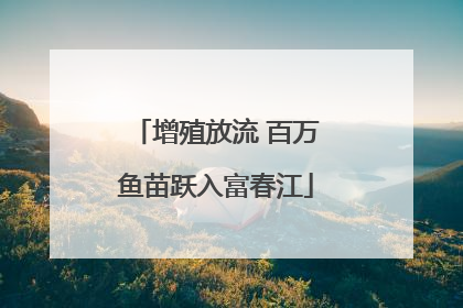 增殖放流 百万鱼苗跃入富春江