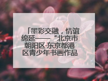 墨彩交融，情谊绵延——“北京市朝阳区·东京都港区青少年书画作品展”成功举办