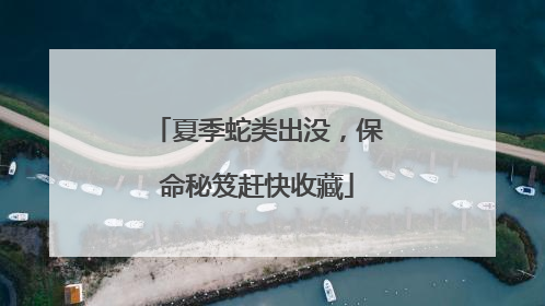 夏季蛇类出没，保命秘笈赶快收藏