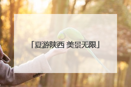 夏游陕西 美景无限