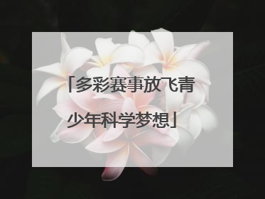 多彩赛事放飞青少年科学梦想