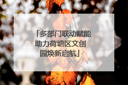 多部门联动赋能 助力荷塘区文创园焕新启航