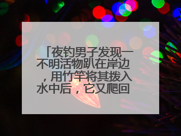 夜钓男子发现一不明活物趴在岸边，用竹竿将其拨入水中后，它又爬回岸边……
