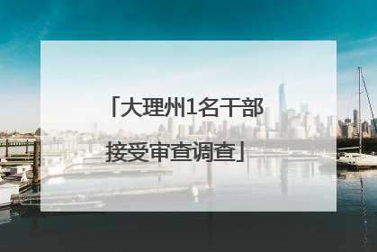 大理州1名干部接受审查调查