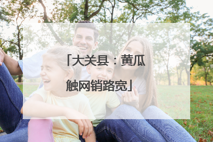 大关县：黄瓜触网销路宽