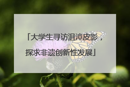 大学生寻访沮漳皮影，探求非遗创新性发展