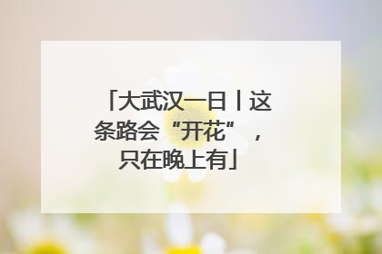 大武汉一日丨这条路会“开花”，只在晚上有