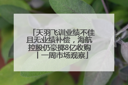 天羽飞训业绩不佳且无业绩补偿，海航控股仍豪掷8亿收购丨一周市场观察