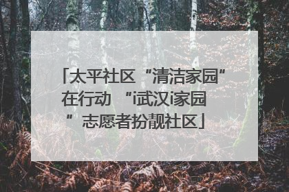太平社区“清洁家园”在行动 “i武汉i家园”志愿者扮靓社区