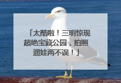 太酷啦！三明惊现超绝宝藏公园，拍照遛娃两不误！