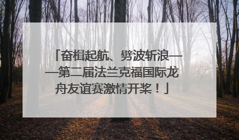 奋楫起航、劈波斩浪——第二届法兰克福国际龙舟友谊赛激情开桨！