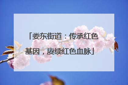 娄东街道：传承红色基因，赓续红色血脉