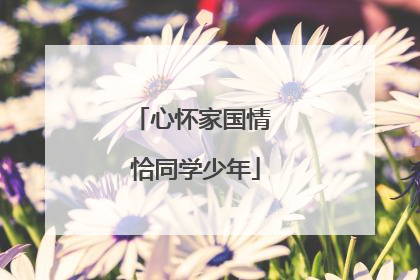 心怀家国情 恰同学少年