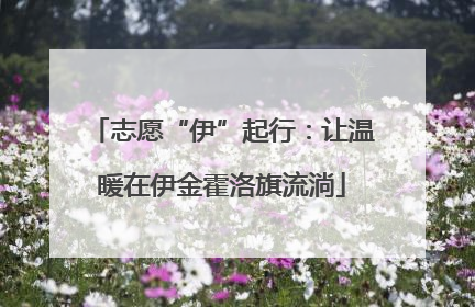 志愿“伊”起行：让温暖在伊金霍洛旗流淌