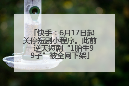 快手：6月17日起关停短剧小程序。此前一逆天短剧“1胎生99子”被全网下架