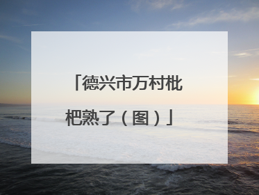 德兴市万村枇杷熟了（图）
