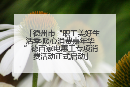德州市“职工美好生活季·暖心消费嘉年华”德百家电惠工专项消费活动正式启动