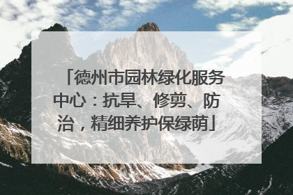 德州市园林绿化服务中心：抗旱、修剪、防治，精细养护保绿荫