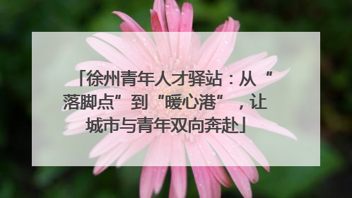 徐州青年人才驿站：从“落脚点”到“暖心港”，让城市与青年双向奔赴