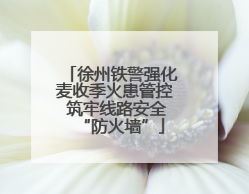 徐州铁警强化麦收季火患管控 筑牢线路安全“防火墙”