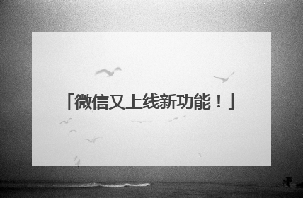 微信又上线新功能！