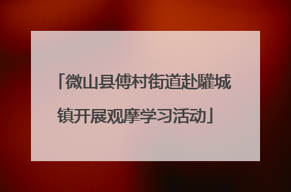 微山县傅村街道赴驩城镇开展观摩学习活动