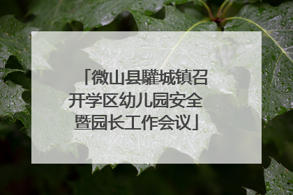 微山县驩城镇召开学区幼儿园安全暨园长工作会议