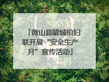 微山县驩城镇妇联开展“安全生产月”宣传活动